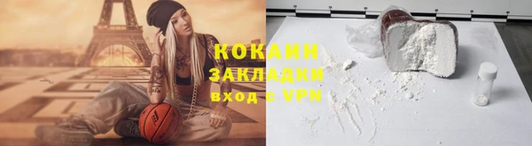 твердый Алексин