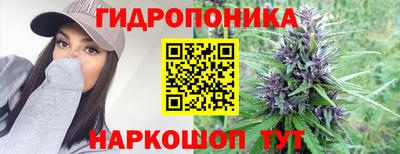 шишки Донецк