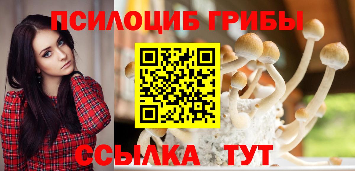 Ишим  Псилоцибиновые грибы ЛСД  Вход с VPN 